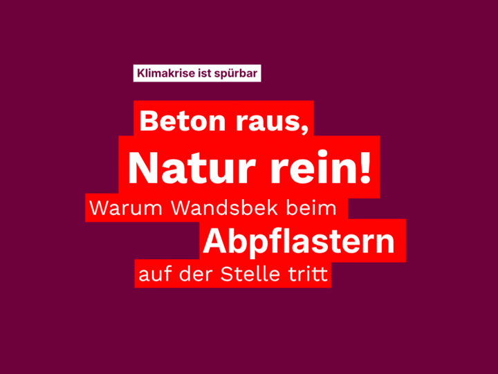 Klimakrise ist spürbar: Beton raus, Natur rein! Warum Wandsbek beim Abpflastern auf der Stelle tritt