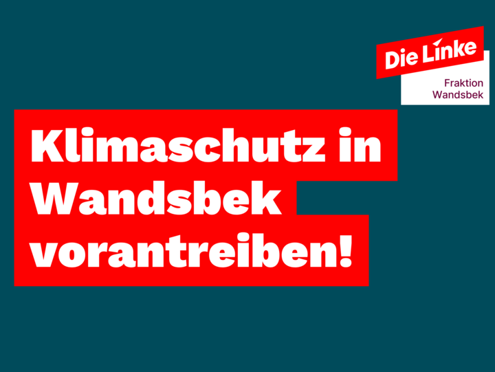 Die Linke hilft! - 7